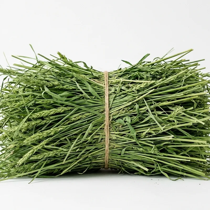 Premium Timothy Hay