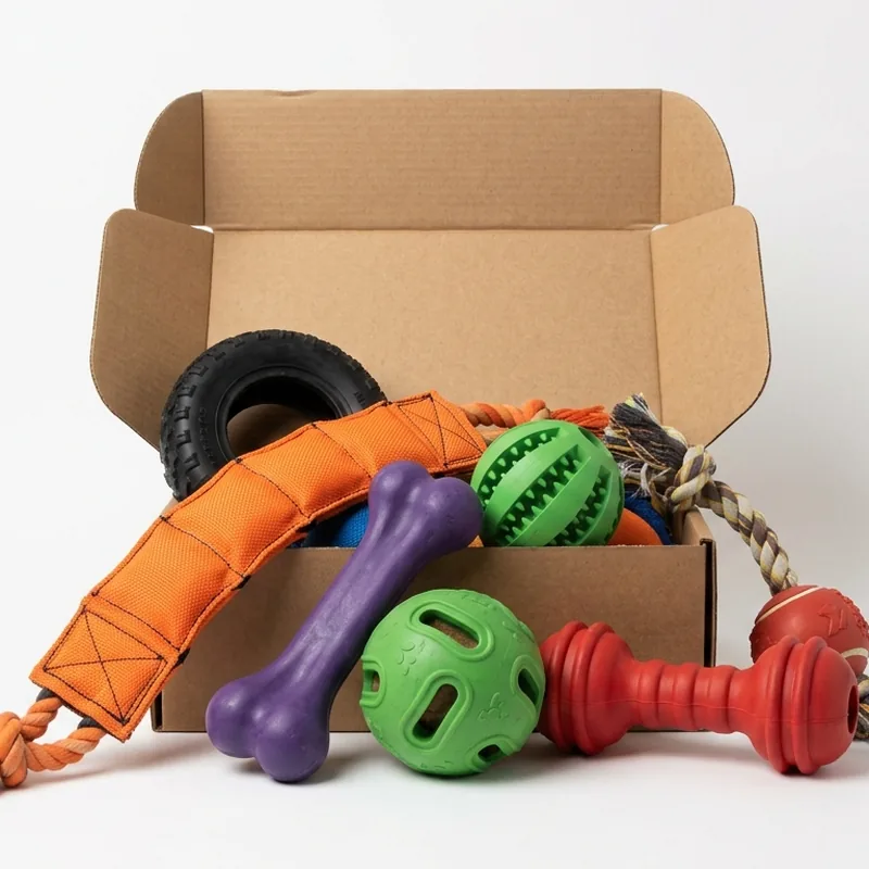 Toy-Focused Dog Subscription Box