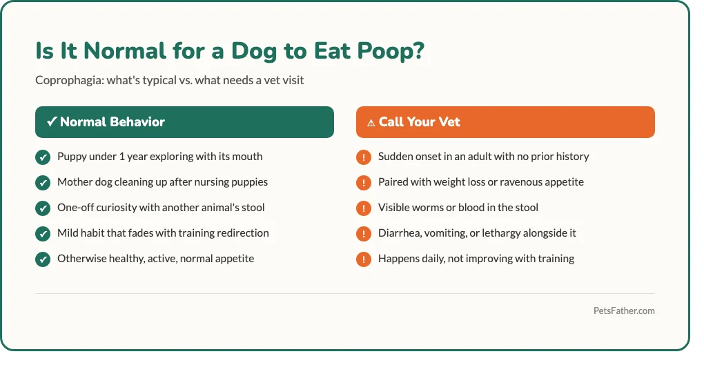 Checklist infographic of reasons dogs eat poop and when it signals a medical problem