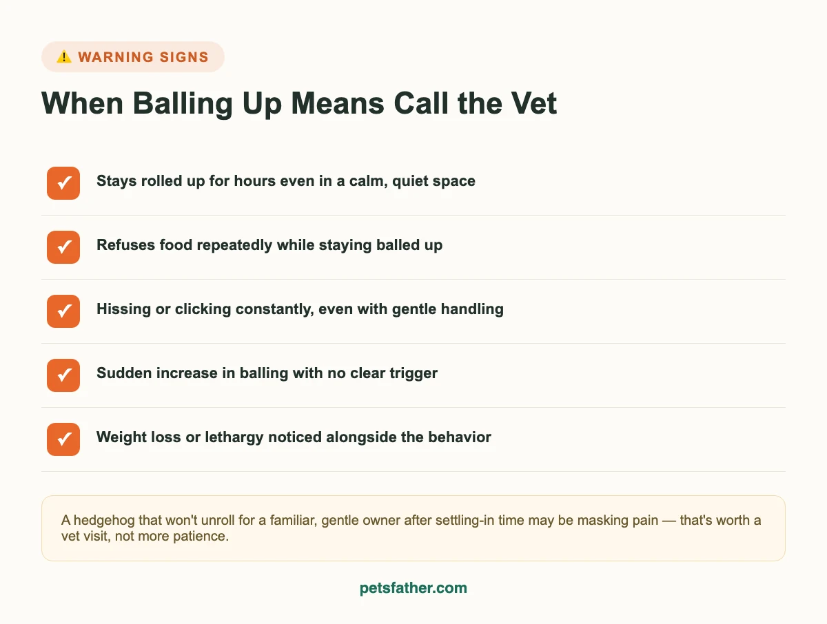 Checklist infographic of warning signs that mean a hedgehog's ball-rolling behavior needs a vet's attention