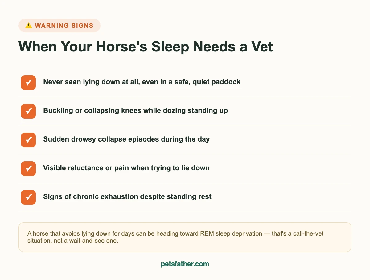 Checklist infographic of warning signs that mean a horse's sleep habits need a vet's attention