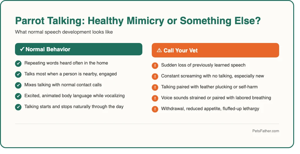 Checklist infographic explaining why parrots talk and which species are best talkers