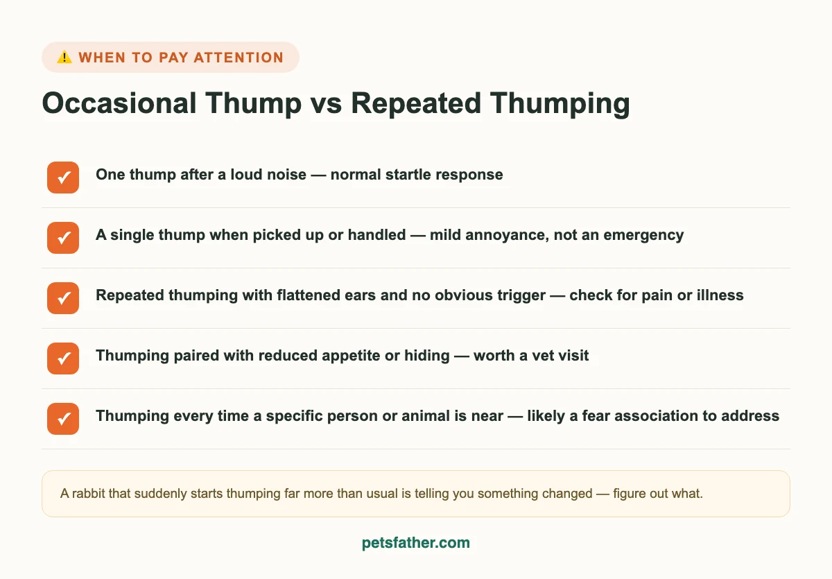 Checklist comparing occasional rabbit foot thumping to repeated thumping that may signal pain, illness, or ongoing stress